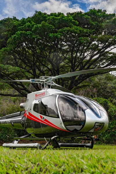 Maverick Helicopters Hana Rainforest Experience